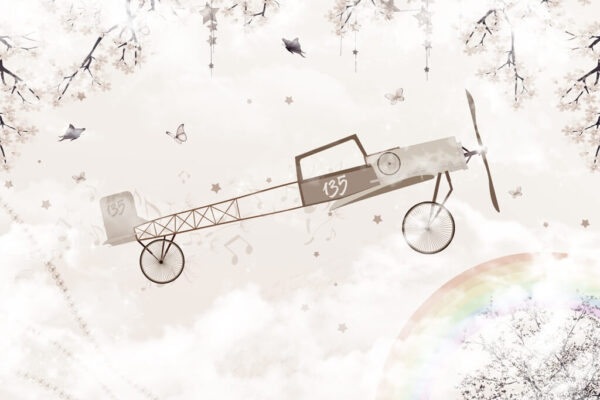 Papier peint Avion dans le ciel
