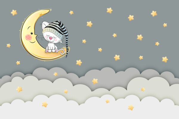 Papier peint Chaton endormi sur la lune