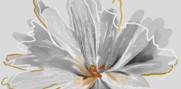 Papier peint Fleur grise
