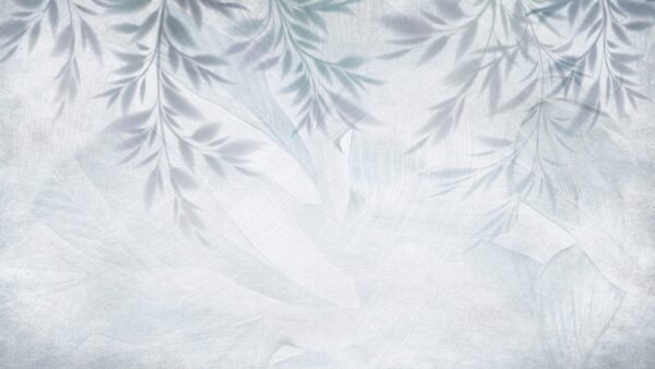 Papier peint Dans l'ombre
