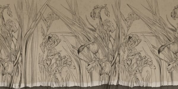Papier peint Grandes fleurs
