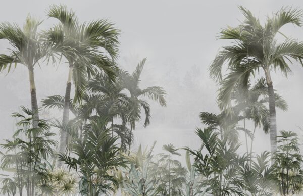 Papier peint Grands palmiers dans le brouillard
