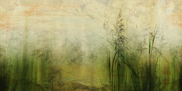 Papier peint Herbe verte