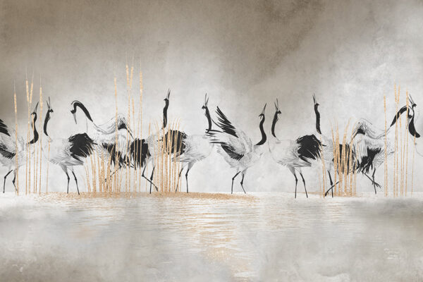 Papier peint Grues nuptiales