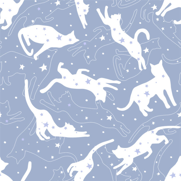 Papier peint Chats étoiles