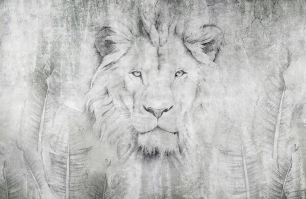Papier peint Le regard du lion