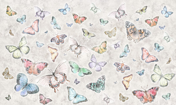 Papier peint Papillons colorés