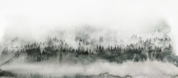 Papier peint Paysage brumeux