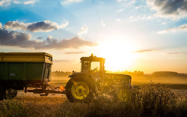 Papier peint Tracteur dans le champ