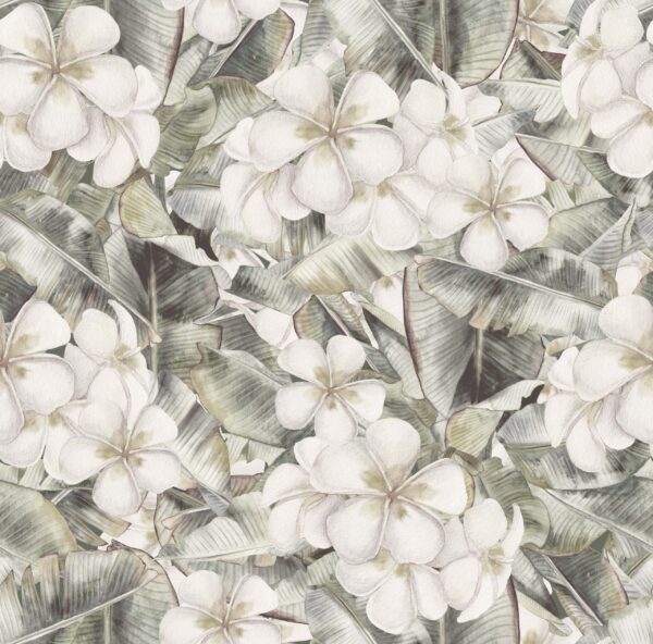 Papier peint Fleurs blanches