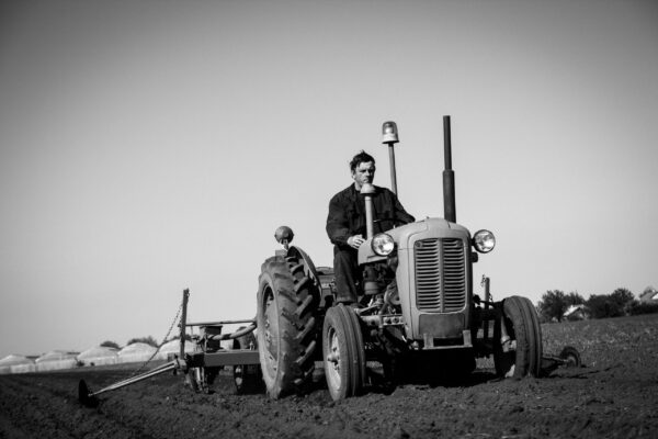 Papier peint Sur le sentier agricole