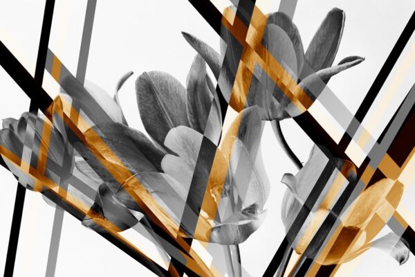 Papier peint Fleurs géométriques
