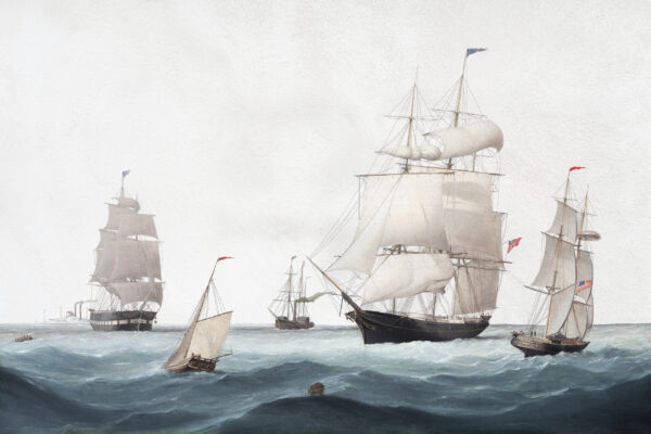 Papier peint Voiles de mer
