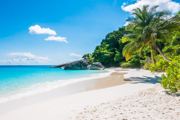 Papier peint Plage tropicale