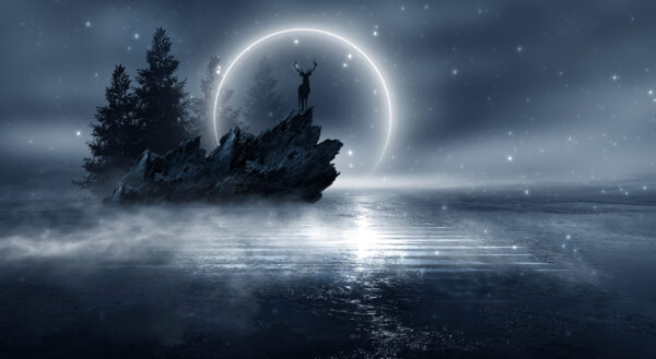 Papier peint Cerf sur un rocher sous la lune