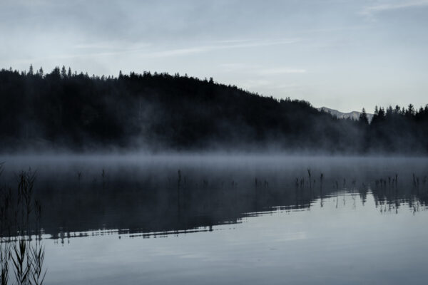 Papier peint Brouillard sur le lac