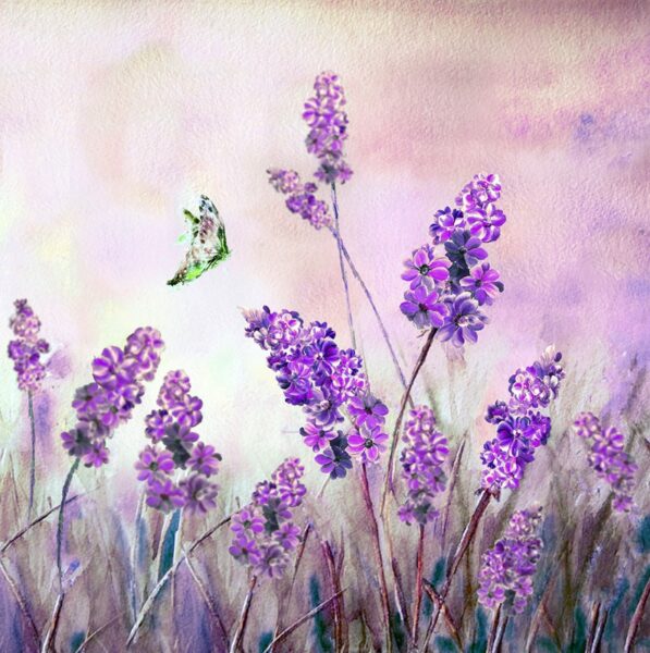 Papier peint Fleurs de lavande