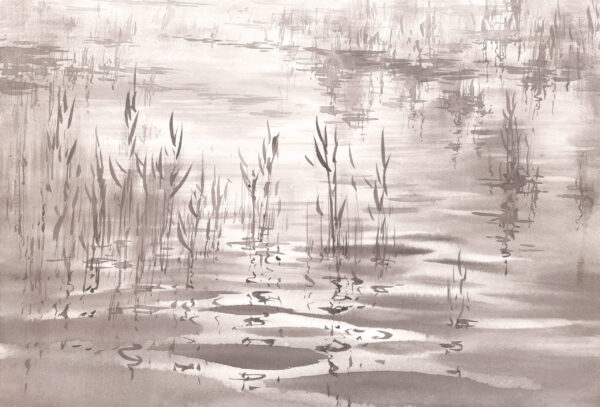 Papier peint Le silence de la surface du lac