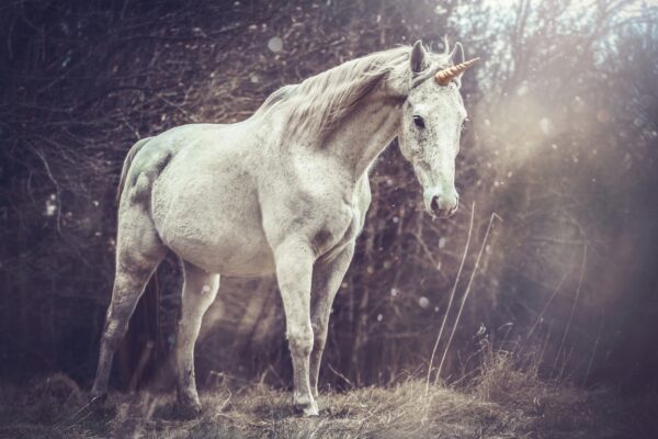 Papier peint Licorne magique