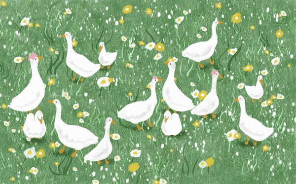Papier peint Prairie idyllique avec des oies