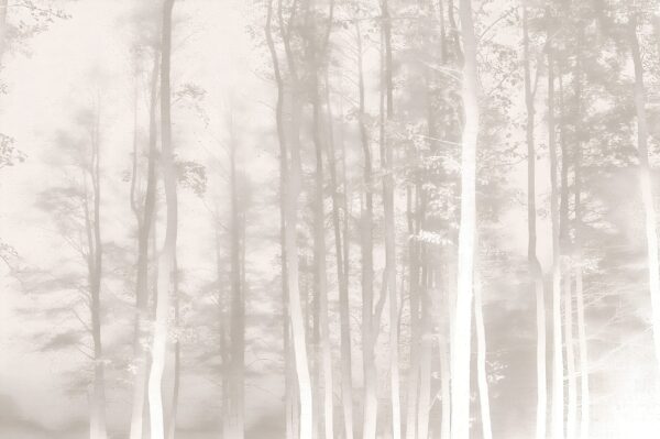 Papier peint Forêt en blanc et gris